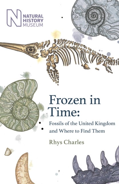 Frozen in Time - Fossils of the United Kingdom and Where to Find Them