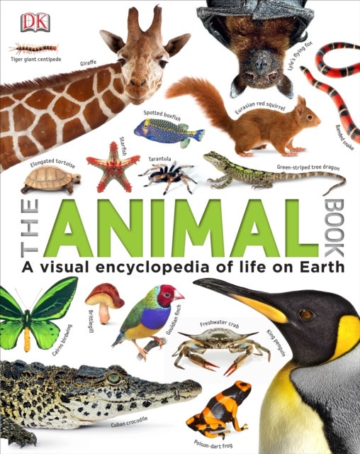 Bilde av Our World In Pictures The Animal Book Av Dk