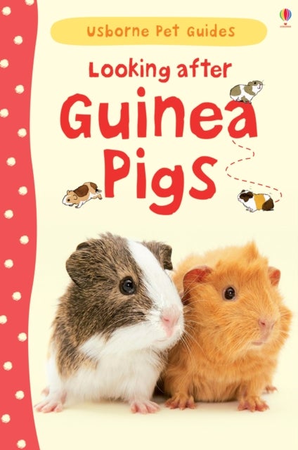 Bilde av Looking After Guinea Pigs Av Laura Howell
