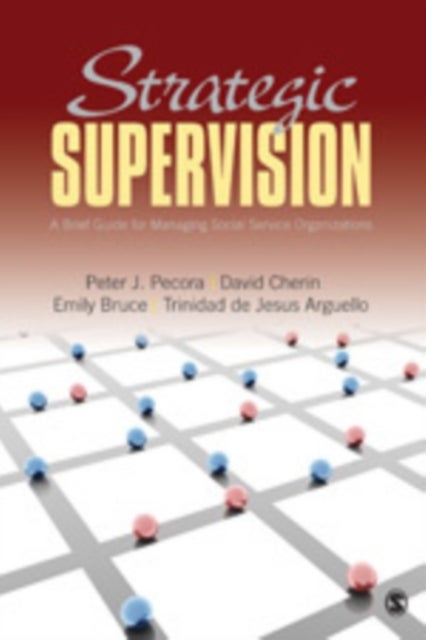 Strategic Supervision - A Brief Guide for Managing Social Service Organizations