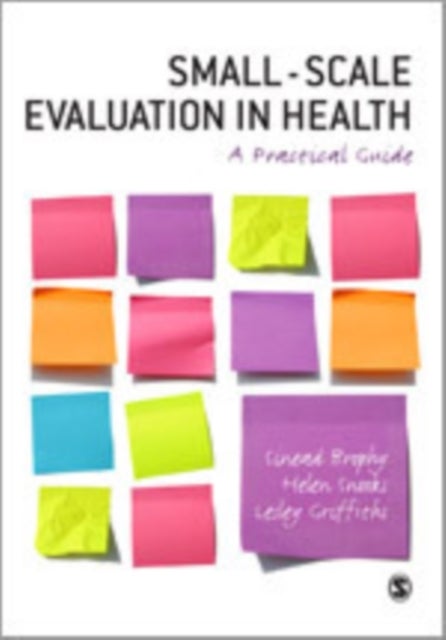 Small-Scale Evaluation in Health - A Practical Guide