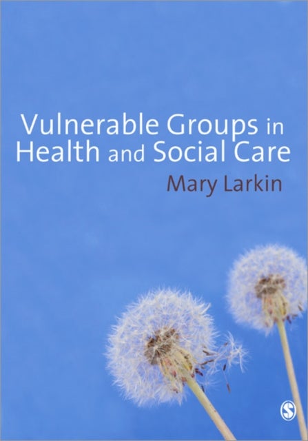 Bilde av Vulnerable Groups In Health And Social Care Av Mary Larkin