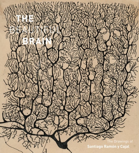 The Beautiful Brain - The Drawings of Santiago Ramon y Cajal