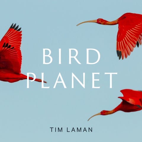 Bird Planet - A Photographic Journey