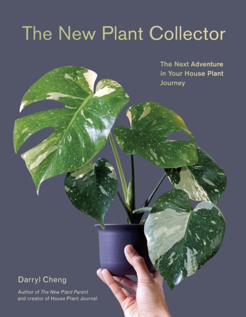 The New Plant Collector - The Next Adventure in Your House Plant Journey