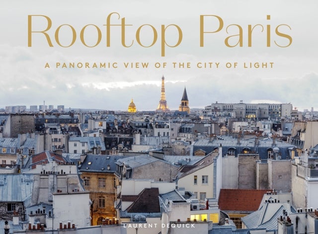 Rooftop Paris - A Panoramic View of the City of Light