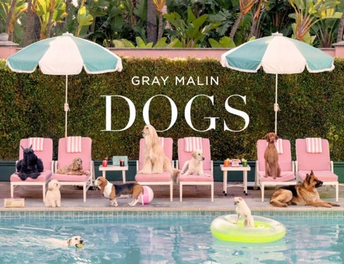 Gray Malin: Dogs - Photographs