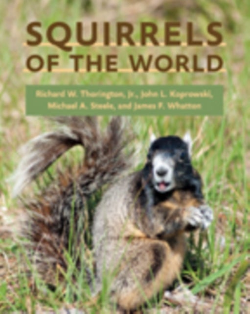Bilde av Squirrels Of The World Av Richard W. Jr. (curator Smithsonian Institution) Thorington, John L. (school Of Natural Resources) Koprowski, Michael A. (wi