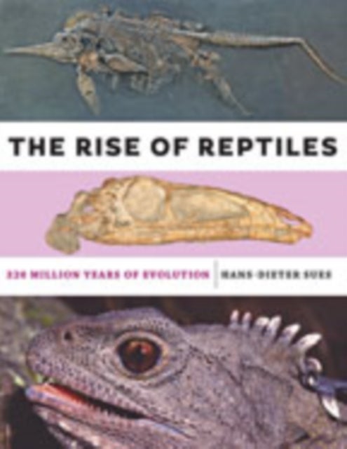 Bilde av The Rise Of Reptiles Av Hans-dieter (senior Scientist And Curator Of Vertebrate Paleontology National Museum Of Natural History And National Museum Of