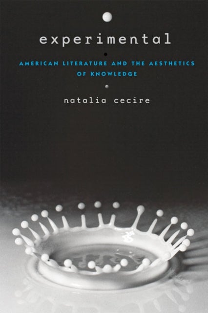 Experimental - American Literature and the Aesthetics of Knowledge