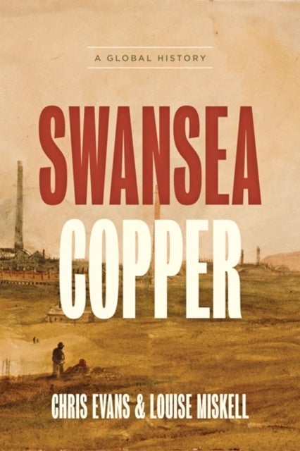 Bilde av Swansea Copper Av Chris (university Of South Wales) Evans, Louise (swansea University) Miskell