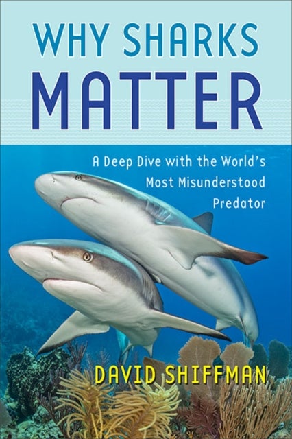 Bilde av Why Sharks Matter Av David (liber Ero Postdoctoral Research Fellow In Conservation Biology Simon Fraser University) Shiffman