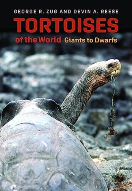 Tortoises of the World - Giants to Dwarfs