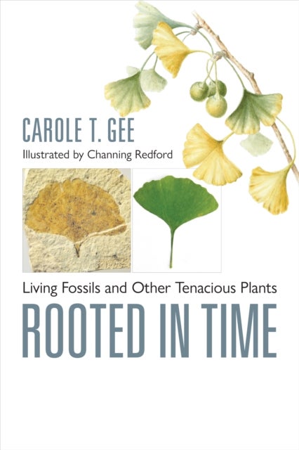 Rooted in Time - Living Fossils and Other Tenacious Plants