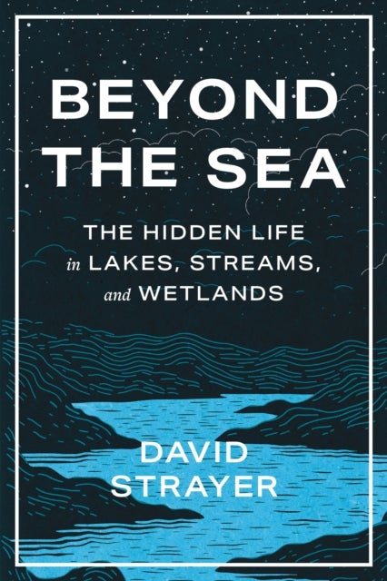 Beyond the Sea - The Hidden Life in Lakes, Streams, and Wetlands