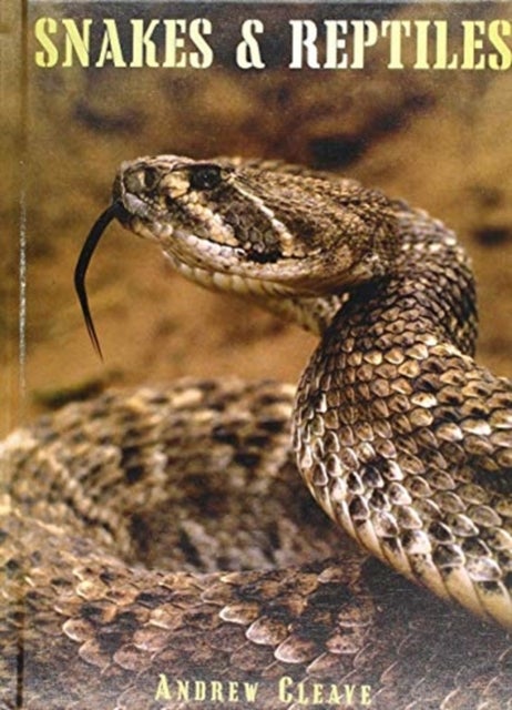 Bilde av Snakes &amp; Reptiles Av Andrew Cleave