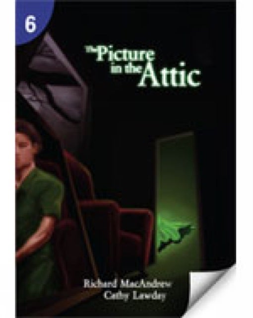 Bilde av The Picture In The Attic: Page Turners 6 Av Richard Macandrew, Cathy Lawday