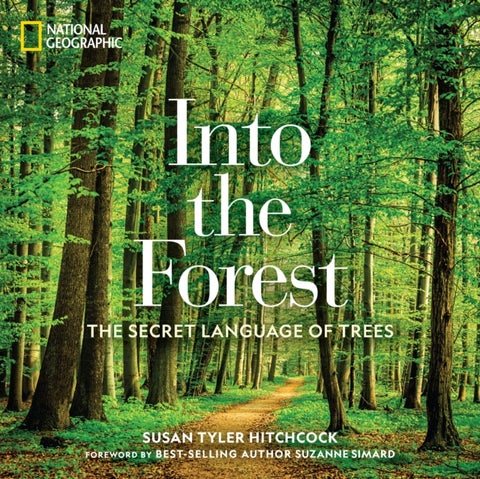 Into the Forest - The Secret Language of Trees