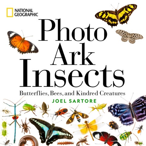 National Geographic Photo Ark Insects - Butterflies, Bees, and Kindred Creatures
