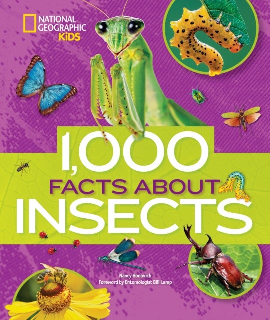 Bilde av 1000 Facts About Insects Av National Geographic Kids, Nancy Honovich