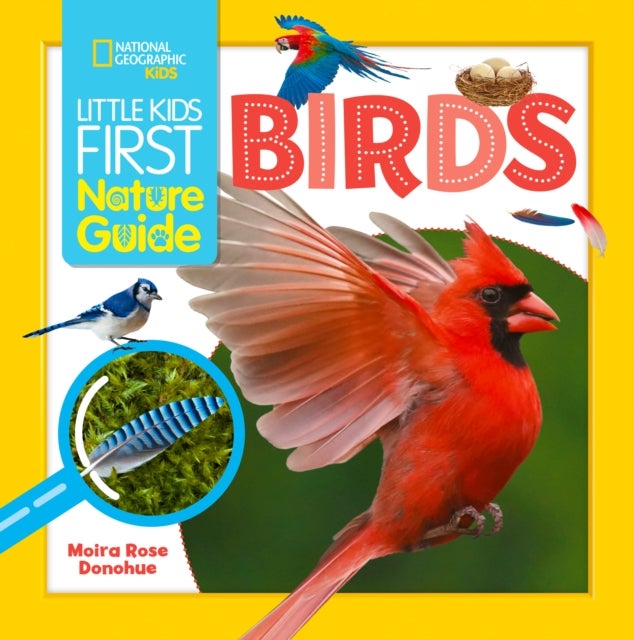 Bilde av Little Kids First Nature Guide Birds Av Moira Rose Donohue