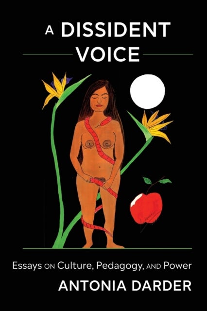 A Dissident Voice - Essays on Culture, Pedagogy, and Power