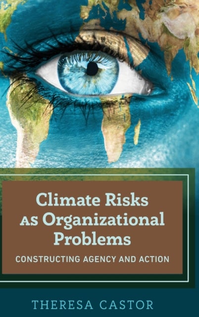 Climate Risks as Organizational Problems - Constructing Agency and Action