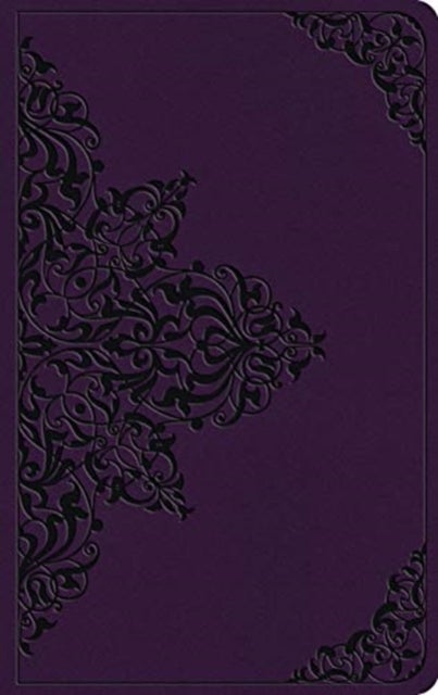 ESV Large Print Value Thinline Bible