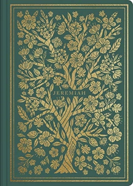 ESV Illuminated Scripture Journal - Jeremiah (Paperback)