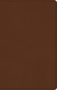 ESV Large Print Value Thinline Bible