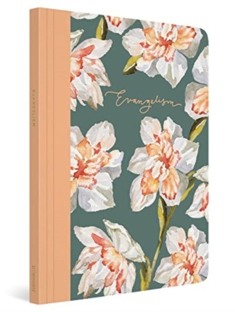 ESV Prayer Journal - 30 Days on Evangelism (Paperback)