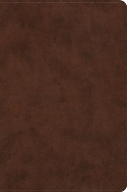 ESV Holy Bible - Dyslexia-Friendly Edition (TruTone, Brown)