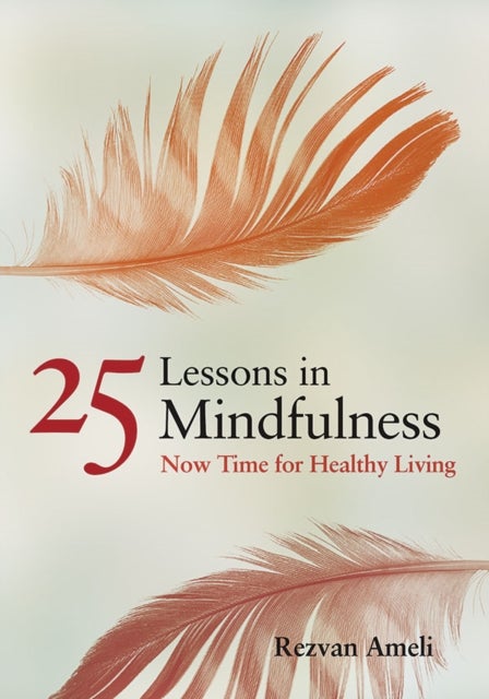 25 Lessons in Mindfulness - Now Time for Healthy Living