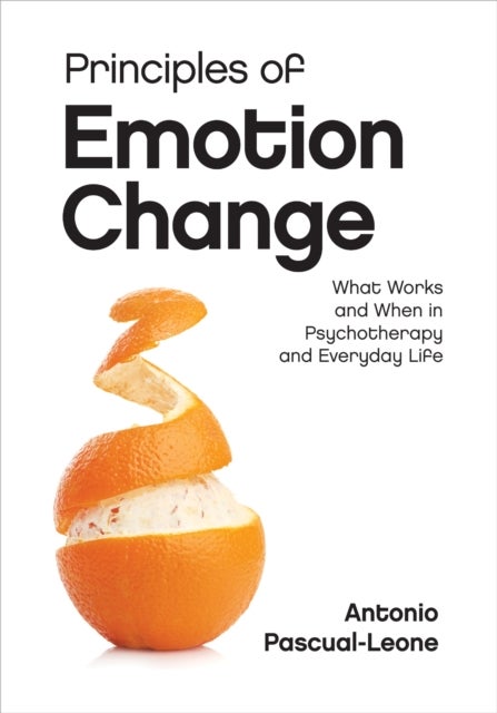 Principles of Emotion Change - What Works and When in Psychotherapy and Everyday Life