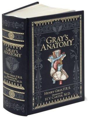 Gray's Anatomy (Barnes & Noble Collectible Editions) - Barnes & Noble Collectible Classics Omnibus Editio