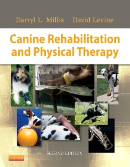 Bilde av Canine Rehabilitation And Physical Therapy Av Darryl (associate Professor Of Orthopedic Surgery Department Of Small Animal Clinical Sciences College O