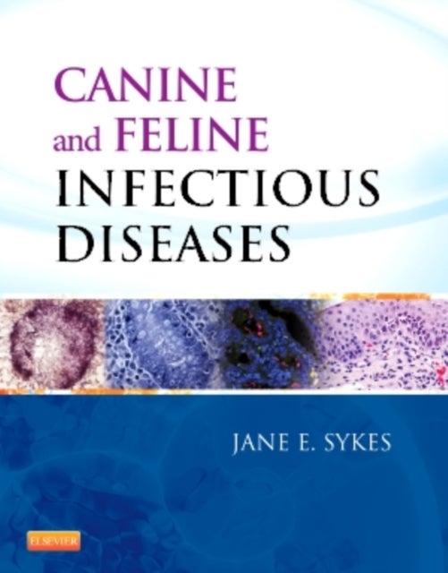 Bilde av Canine And Feline Infectious Diseases Av Jane E. (director Small Animal Clinic Sykes, William R. Pritchard Veterinary Medical Teaching Hospital And Pr