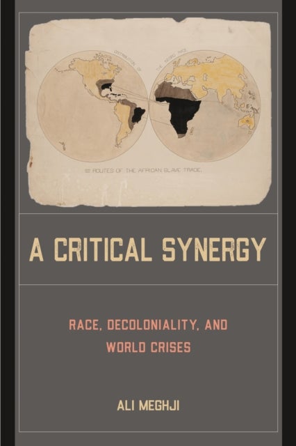 A Critical Synergy - Race, Decoloniality, and World Crises