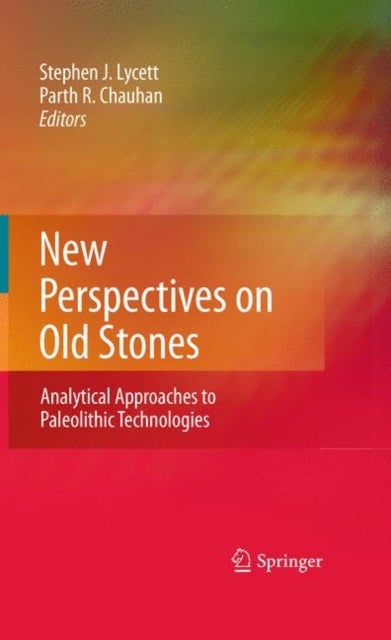 New Perspectives on Old Stones - Analytical Approaches to Paleolithic Technologies