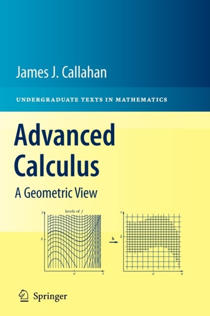 Advanced Calculus - A Geometric View