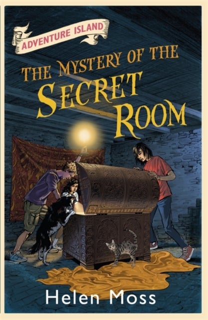 Adventure Island: The Mystery of the Secret Room - Book 13