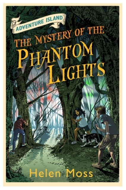 Adventure Island: The Mystery of the Phantom Lights - Book 14