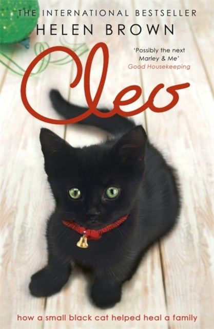Cleo - How a small black cat helped heal a family
