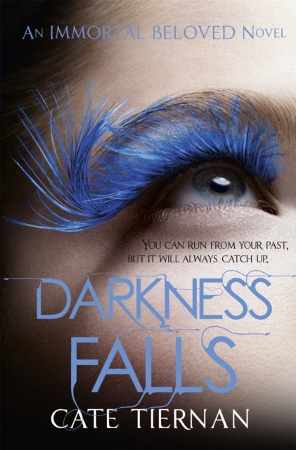 Bilde av Darkness Falls (immortal Beloved Book Two) Av Cate Tiernan