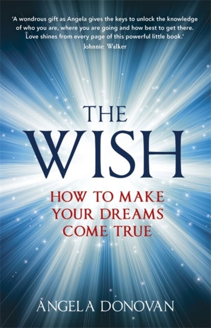 The Wish - How to make your dreams come true