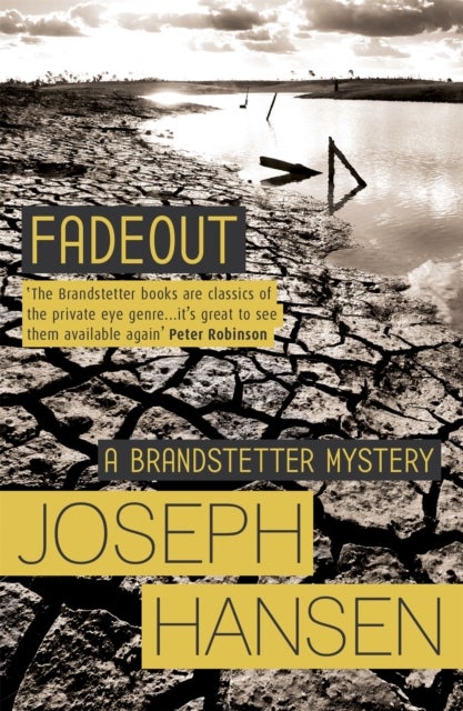 Fadeout - Dave Brandstetter Investigation 1