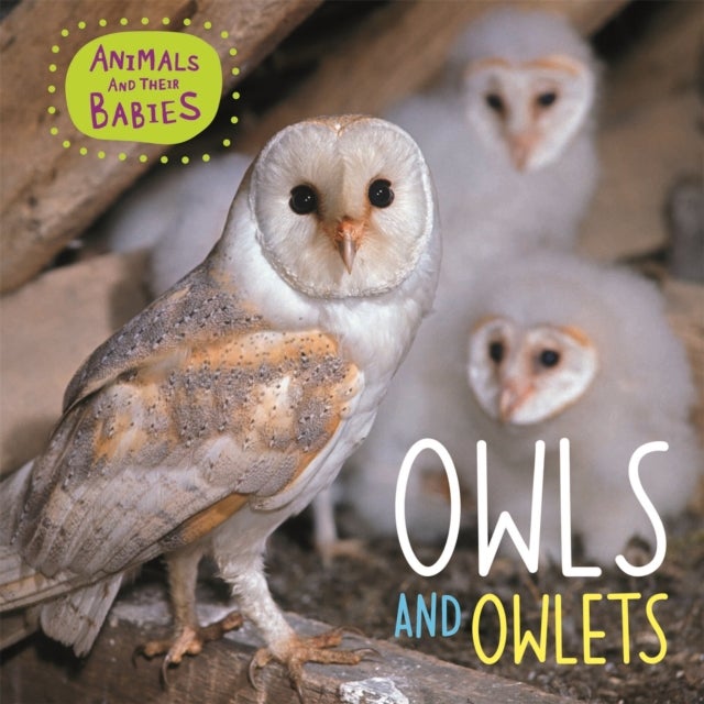 Bilde av Animals And Their Babies: Owls &amp; Owlets Av Annabelle Lynch