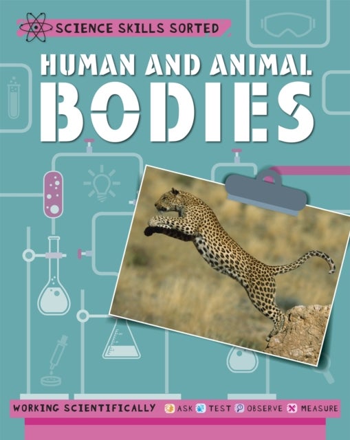 Bilde av Science Skills Sorted!: Human And Animal Bodies Av Angela Royston