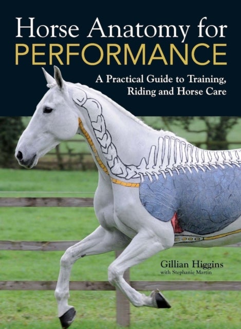 Bilde av Horse Anatomy For Performance Av Gillian Higgins