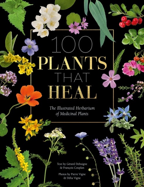 Bilde av 100 Plants That Heal Av Francois Couplan, Gerard Debuigne, Pierre And Delia Vignes